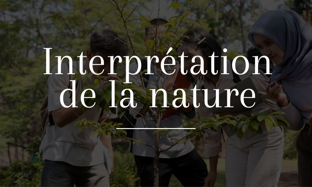 Base Plein Air Sainte-Foy