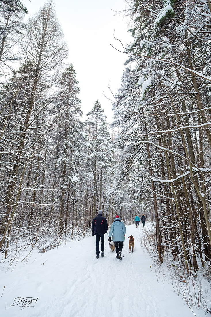 Base Plein Air Sainte-Foy
